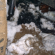 Illustration for article titled Heres How To Get Your Car Unstuck From Deep Snow